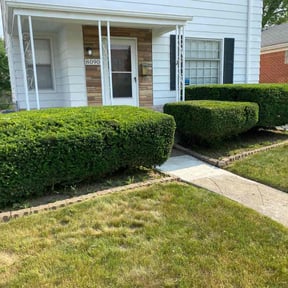 Bush Trimming by Elite Landscaping reviewed on June 29, 2022