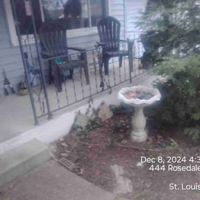 Leaf Removal by 3DM reviewed on April 27, 2022