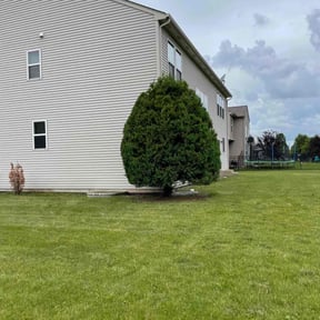 Bush Trimming by S & G Landscaping, Inc. reviewed on December 9, 2024