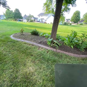 Cleanups by Rios Enterprise Lawn Mowing Services LLC reviewed on October 9, 2021