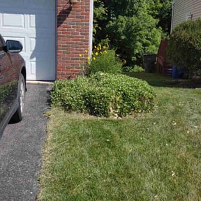 Landscaping by Twins lawn care reviewed on June 30, 2025