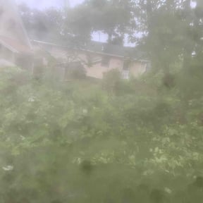 Bush Trimming by JT Quality Lawn reviewed on June 10, 2022