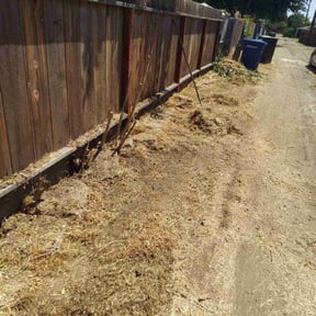 Cleanups by Hector's Mowing reviewed on November 26, 2023