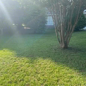 Leaf Removal by Do It All Cut & Trim reviewed on July 6, 2022