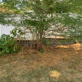 Bush Trimming by Loop's Landscaping reviewed on July 15, 2022
