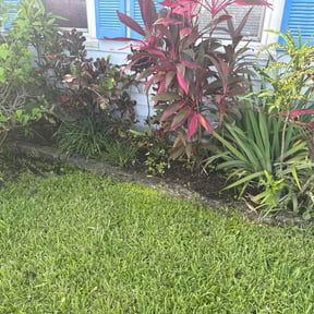 Leaf Removal by 4MK lawn services reviewed on May 26, 2025