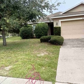 Bush Trimming by Top Notch Lawn Care& MAINTENCE reviewed on March 15, 2022