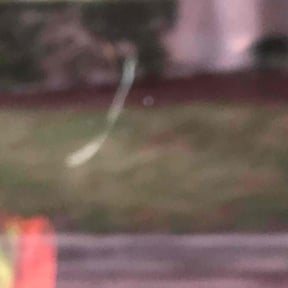 Leaf Removal by Green Hands Landscaping reviewed on December 21, 2021