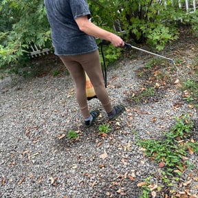 Weeding by Solid Cleaning and construction reviewed on May 7, 2025