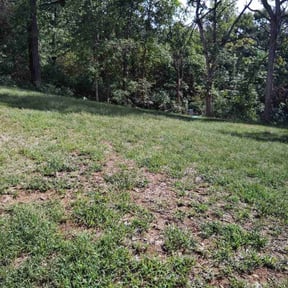 Mulching by Teescutandclean reviewed on April 1, 2025