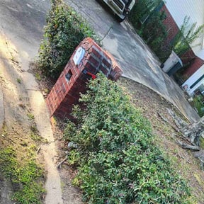 Bush Trimming by square yard reviewed on July 28, 2022