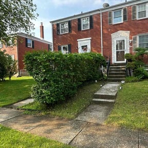Bush Trimming by Legit Lawn Care LLC reviewed on August 3, 2024