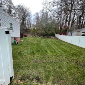 Leaf Removal by Gregory Crayton reviewed on May 8, 2022