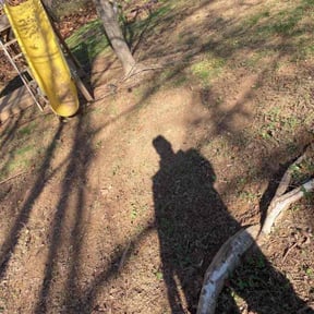 Cleanups by Steve Perry reviewed on June 16, 2022