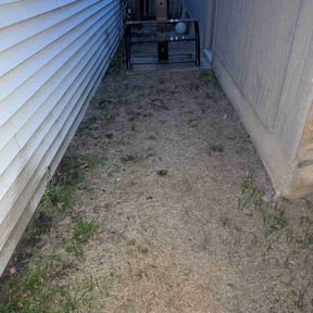 Cleanups by Salone Lawn & Tree Service LLC. reviewed on August 16, 2021