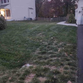 Leaf Removal by X & T Lawn Care reviewed on April 8, 2022
