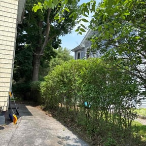 Bush Trimming by SGP Lawn Services reviewed on June 5, 2022