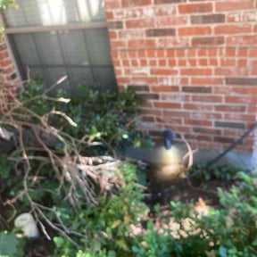 Leaf Removal by Prolific Pro Services reviewed on June 30, 2022