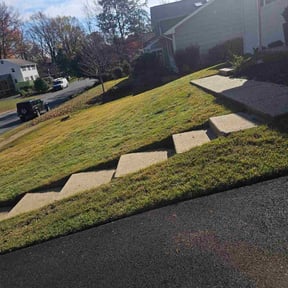 Leaf Removal by Y&R reviewed on November 3, 2022