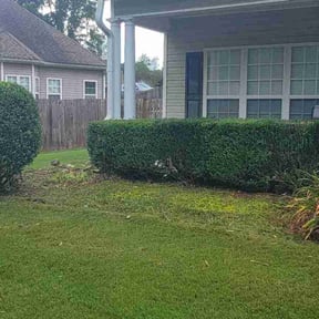 Bush Trimming by King of Lawn Care LLC reviewed on May 27, 2022