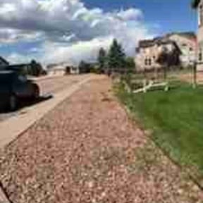 Weeding by LSLTDallas/FortWorthTruGreen reviewed on October 9, 2024