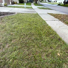 Lawn Seeding by Greenworx Lawn Care reviewed on July 30, 2022