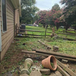 Weeding by Alpha Landscape Company reviewed on December 12, 2024