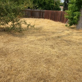 Cleanups by Q&R landscaping solutions reviewed on October 28, 2021