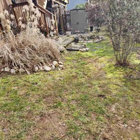 Leaf Removal by Visions Landscaping reviewed on May 11, 2022