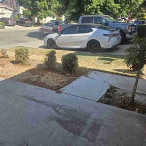 Bush Trimming by Sowing Seeds Lawn and Landscape reviewed on May 16, 2022
