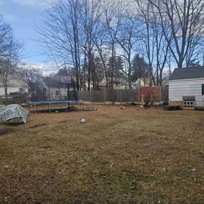 Leaf Removal by Kevin Hands on Maintenance reviewed on July 6, 2021