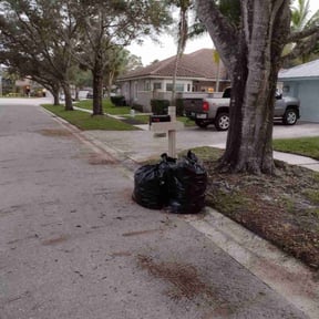 Leaf Removal by Larry's Lawn Care reviewed on April 30, 2022