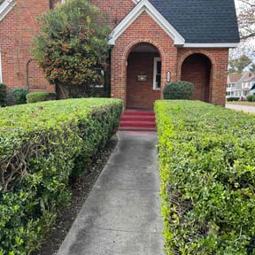 Bush Trimming by Crowder's lawn care reviewed on November 7, 2022