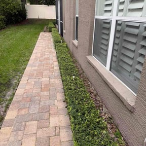 Bush Trimming by Hampton's Landscaping LLC reviewed on November 26, 2024