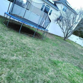 Cleanups by American lawn & Tree services reviewed on July 28, 2022