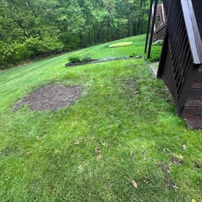 Cleanups by Keep it green reviewed on August 30, 2021
