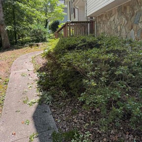 Bush Trimming by Above10lawncare reviewed on July 26, 2025