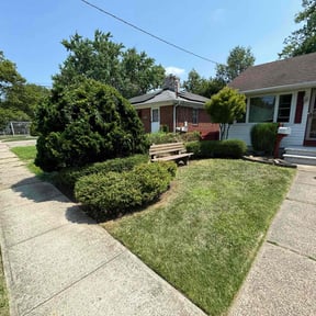 Bush Trimming by Mount Zion Landscaping and Maintenance reviewed on October 19, 2022