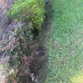 Flower Bed Weeding by Hector's Lawn Care reviewed on May 14, 2025