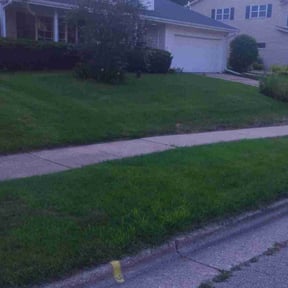 Lawn Seeding by Djalt Lawn Maintenance, LLC reviewed on May 2, 2022