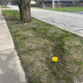 Cleanups by Simon's Lawn Services reviewed on June 2, 2022