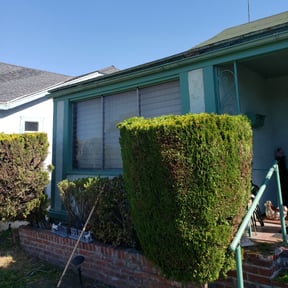 Bush Trimming by Olivares Gardening reviewed on August 14, 2025
