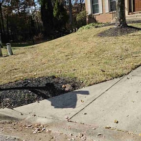 Leaf Removal by Y.A.Y Landscaping reviewed on May 12, 2025