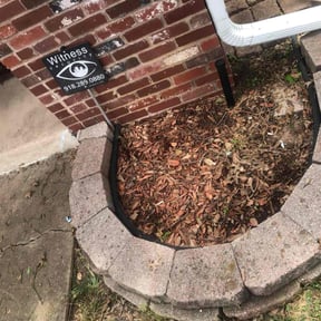 Flower Bed Weeding by W. D. Giampa Lawn & Landscapes, INC. reviewed on June 9, 2022