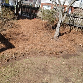 Mulching by Lawnspire reviewed on January 10, 2025