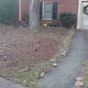 Leaf Removal by Contreras Outdoors reviewed on June 25, 2022