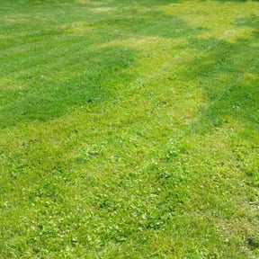 Cleanups by A&D lawncare reviewed on May 4, 2022