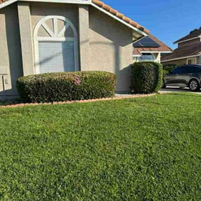 Bush Trimming by Greene Family Lawncare reviewed on May 25, 2022