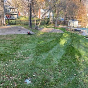 Leaf Removal by Turf and Grounds reviewed on August 26, 2024