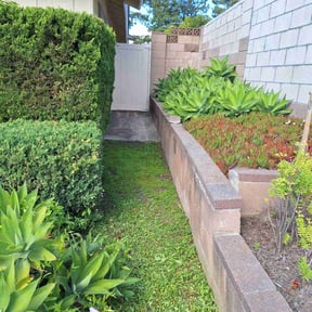 Weed Pulling by Sbm reviewed on September 8, 2024